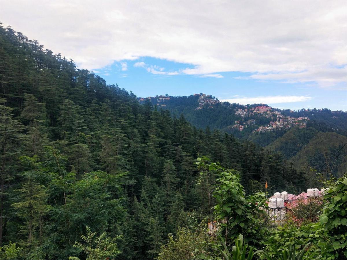Neha Homestay Шимла Екстериор снимка