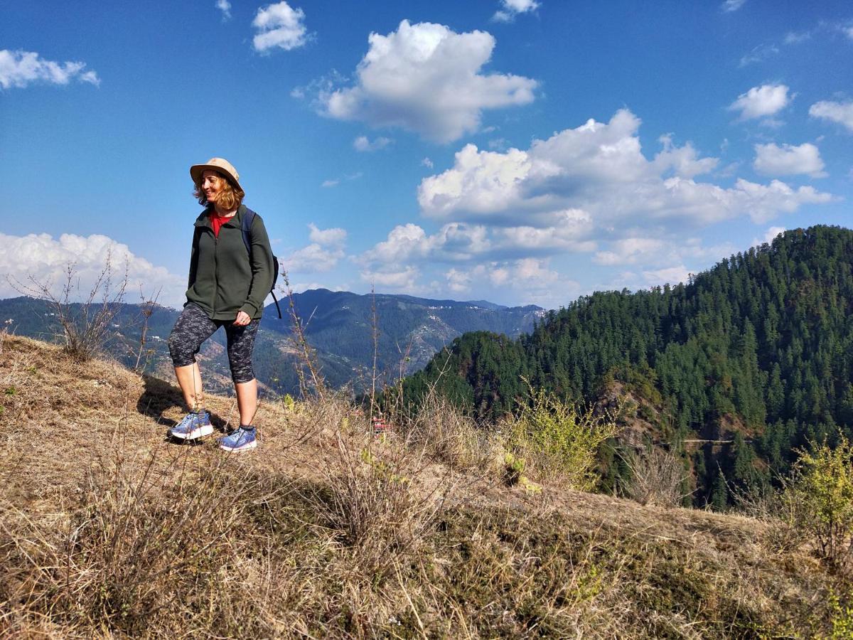 Neha Homestay Шимла Екстериор снимка