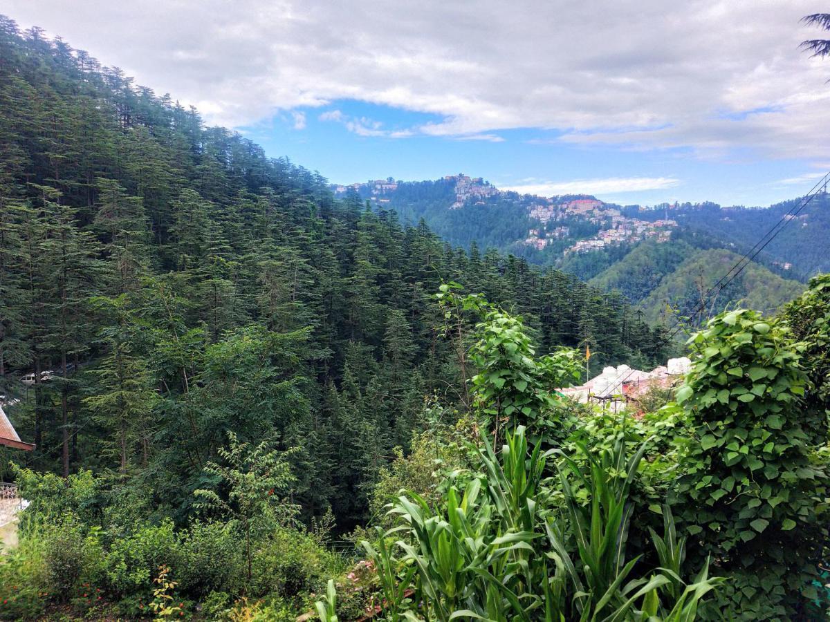 Neha Homestay Шимла Екстериор снимка