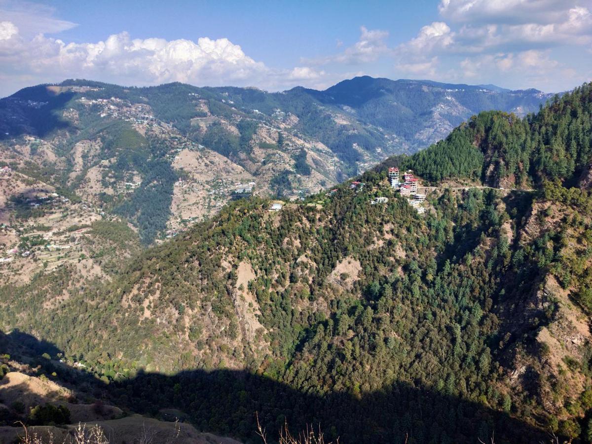 Neha Homestay Шимла Екстериор снимка