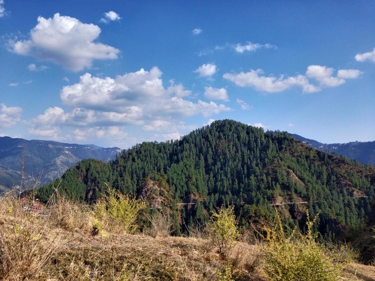 Neha Homestay Шимла Екстериор снимка
