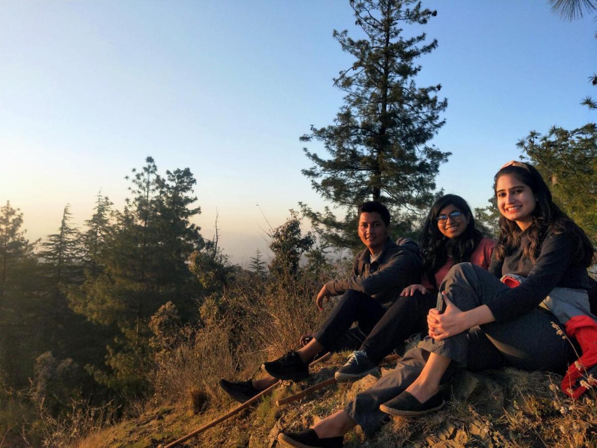 Neha Homestay Шимла Екстериор снимка