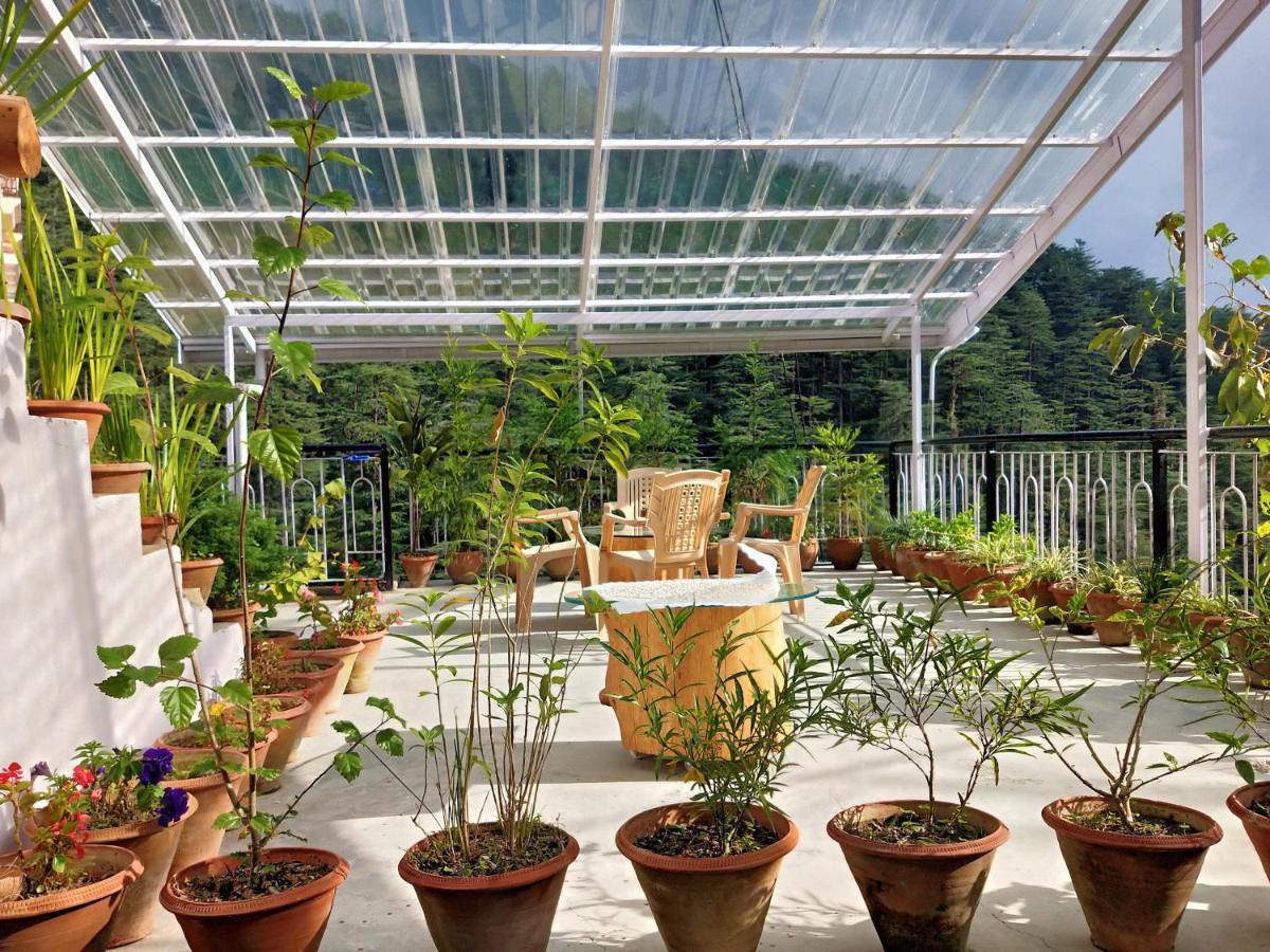 Neha Homestay Шимла Екстериор снимка