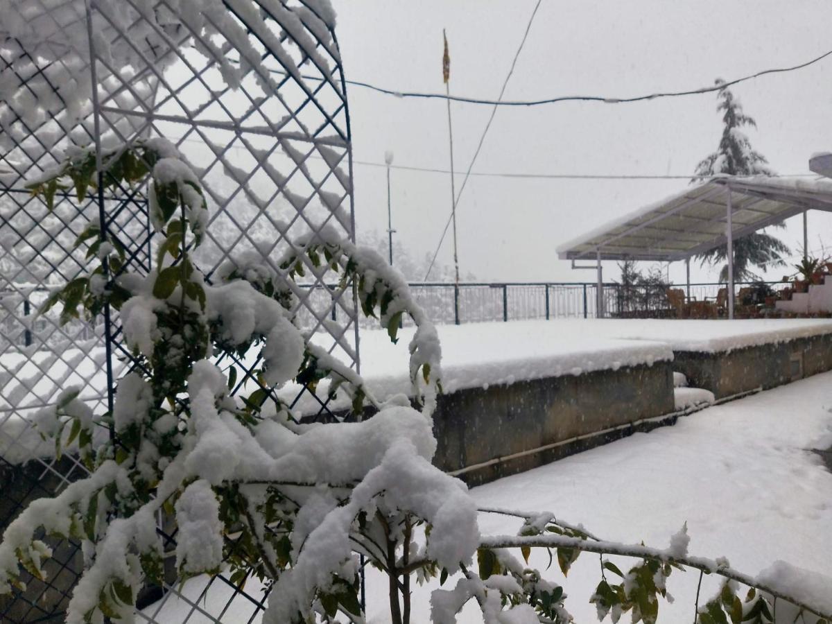 Neha Homestay Шимла Екстериор снимка