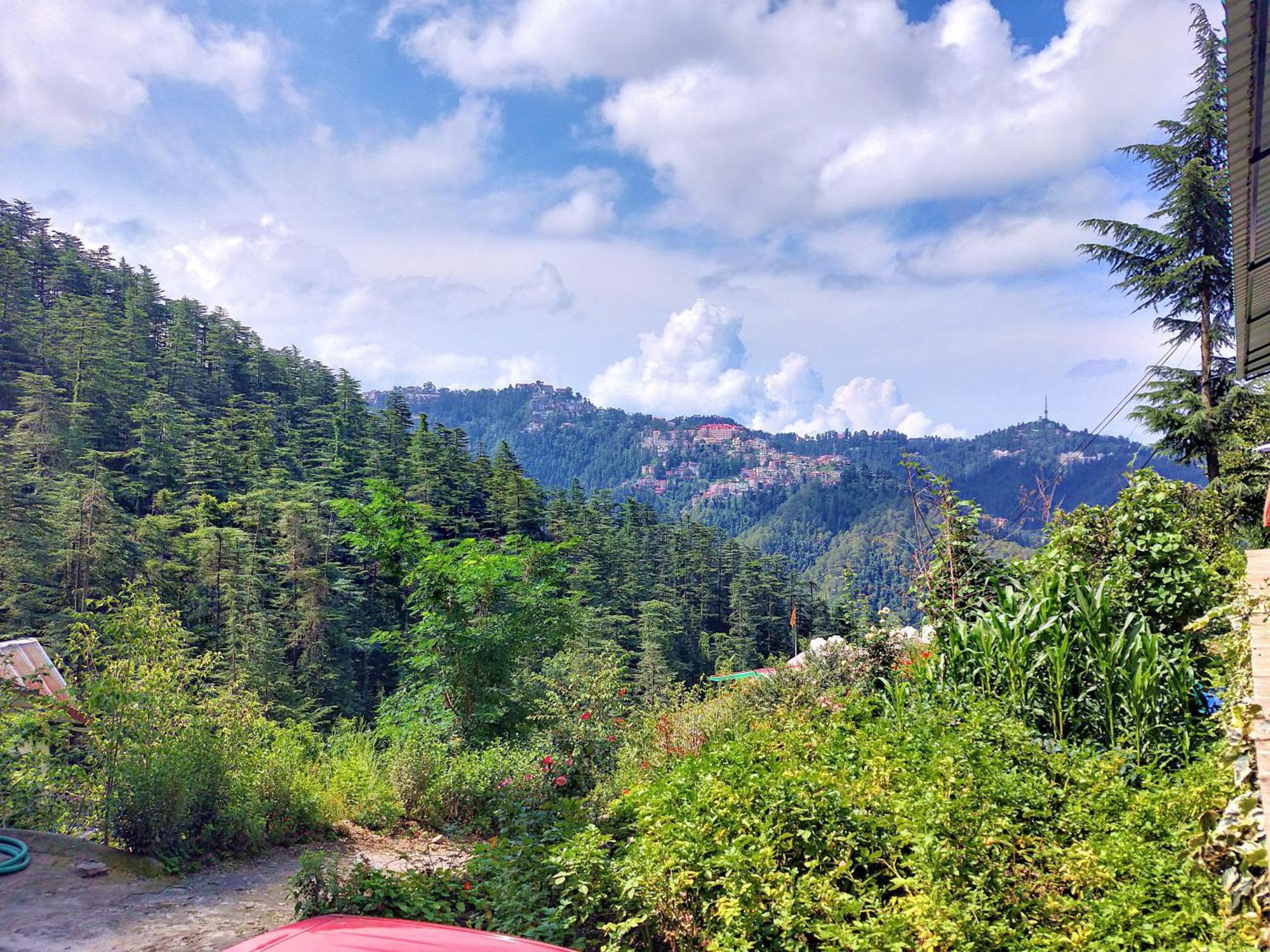 Neha Homestay Шимла Екстериор снимка