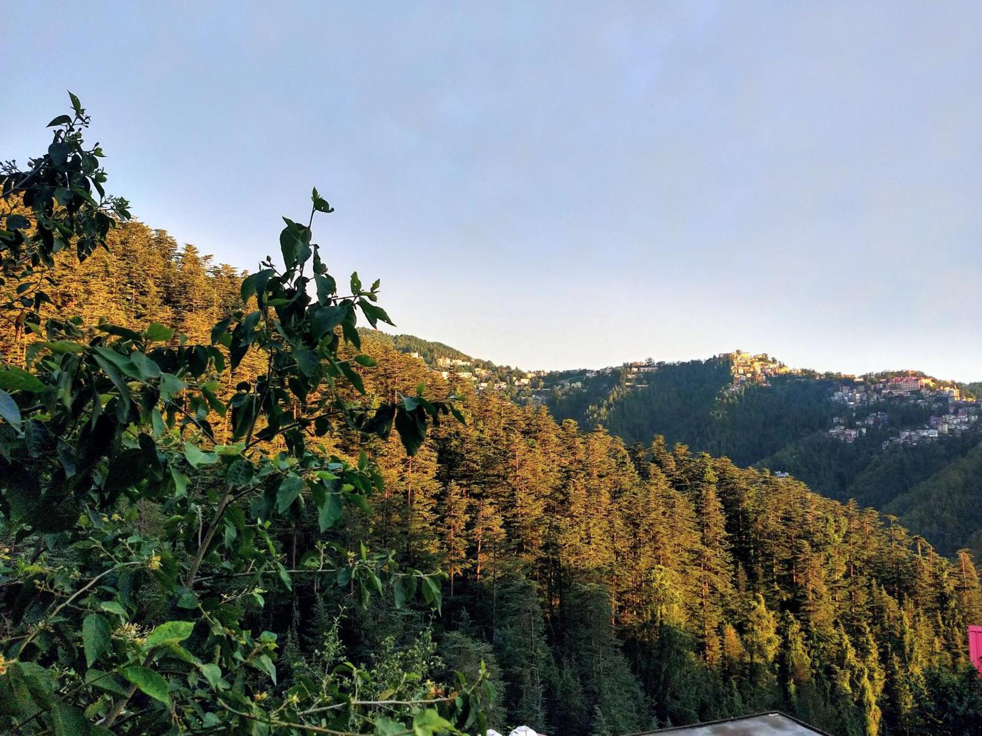 Neha Homestay Шимла Екстериор снимка